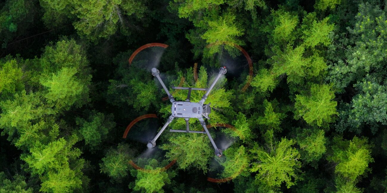 Et drone av en drone som flyr over en skog.